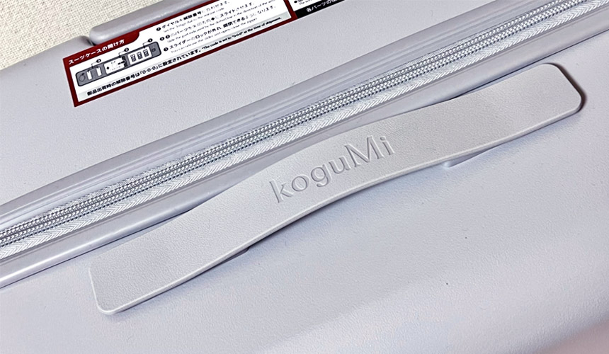 カラー(アイスグレー)