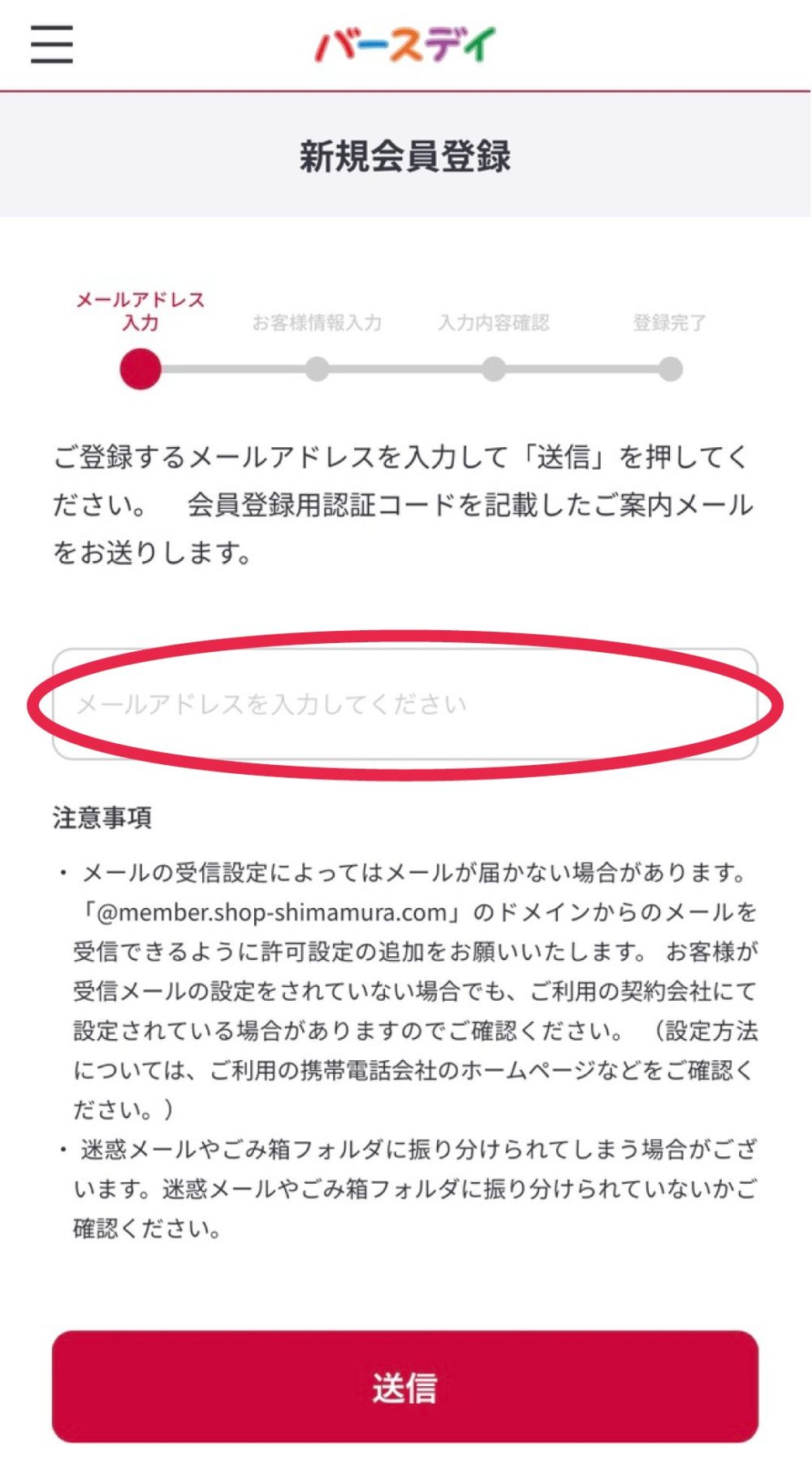 メールアドレスを入力してください